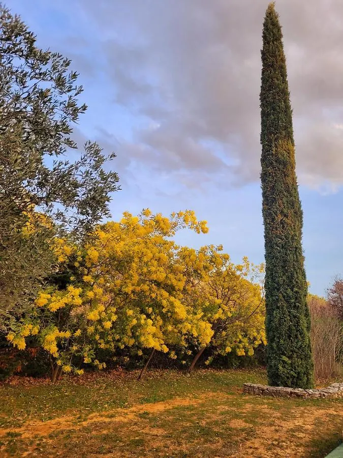 Jolie maison en plein cœur du Lubéron Roussillon en Isere 0*,