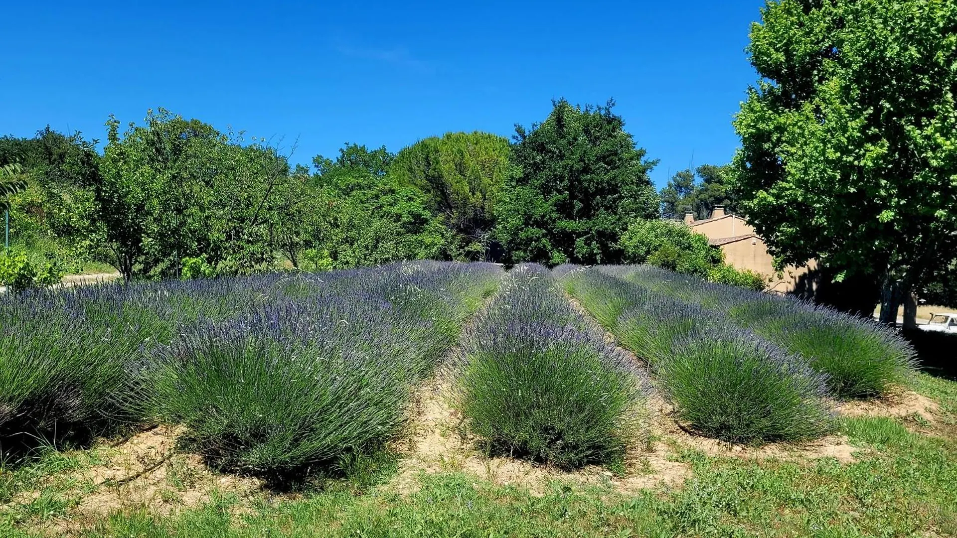 Jolie maison en plein cœur du Lubéron Roussillon en Isere Hébergement de vacances