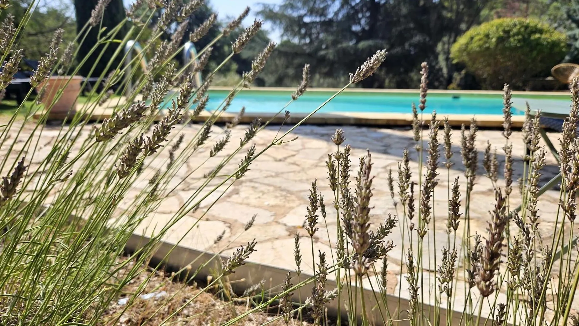 Holiday home Joli Mas 